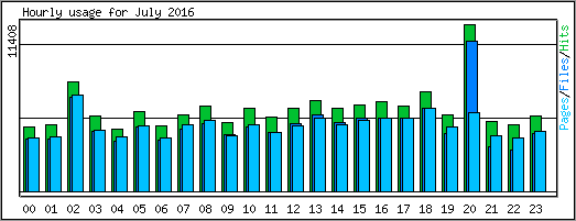Hourly usage