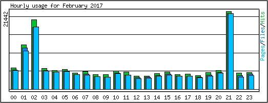 Hourly usage