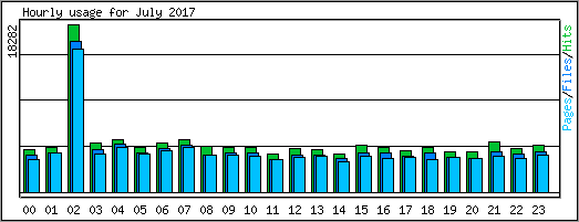 Hourly usage