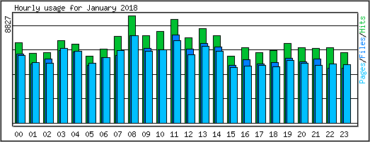 Hourly usage