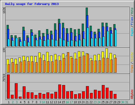 Daily usage for February 2013