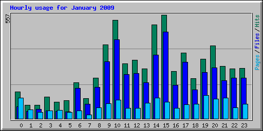 Hourly usage for January 2009