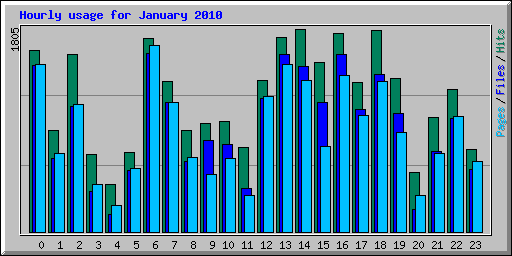 Hourly usage for January 2010