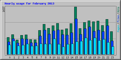 Hourly usage for February 2013
