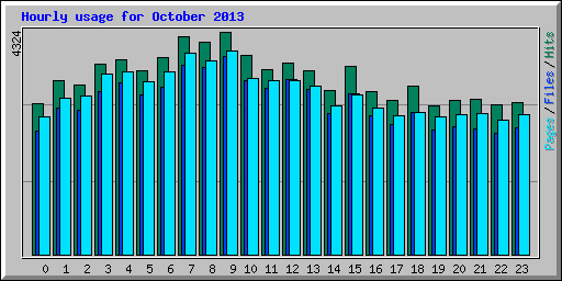 Hourly usage for October 2013
