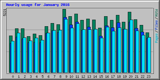 Hourly usage for January 2016